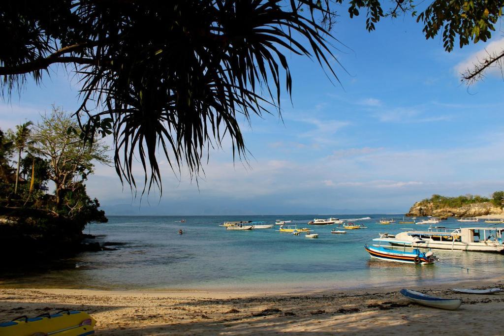 Molamola House Hotel Lembongan Cameră foto