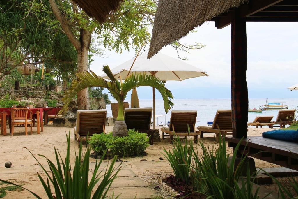Molamola House Hotel Lembongan Exterior foto